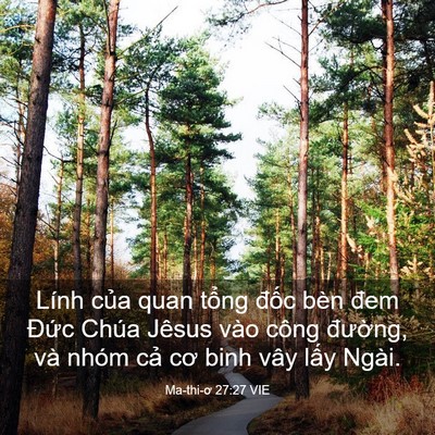 Picture 03 - Ma-thi-ơ 27:27 VIE - Lính của quan tổng đốc bèn đem Đức - Bible Verse Picture
