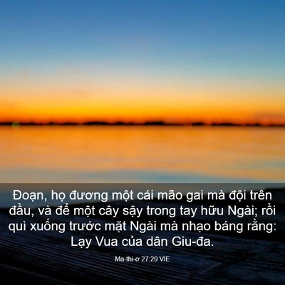 Picture 03 - Ma-thi-ơ 27:29 VIE - Đoạn, họ đương một cái mão gai mà - Bible Verse Picture
