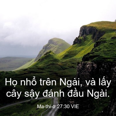 Picture 03 - Ma-thi-ơ 27:30 VIE - Họ nhổ trên Ngài, và lấy cây sậy - Bible Verse Picture