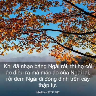 Picture 03 - Ma-thi-ơ 27:31 VIE - Khi đã nhạo báng Ngài rồi, thì họ - Bible Verse Picture
