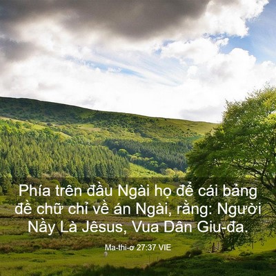 Picture 03 - Ma-thi-ơ 27:37 VIE - Phía trên đầu Ngài họ để cái bảng - Bible Verse Picture
