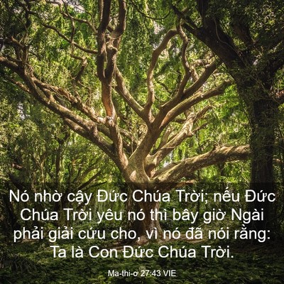 Picture 03 - Ma-thi-ơ 27:43 VIE - Nó nhờ cậy Đức Chúa Trời; nếu Đức - Bible Verse Picture