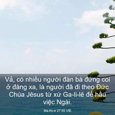 Picture 03 - Ma-thi-ơ 27:55 VIE - Vả, có nhiều người đàn bà đứng coi - Bible Verse Picture