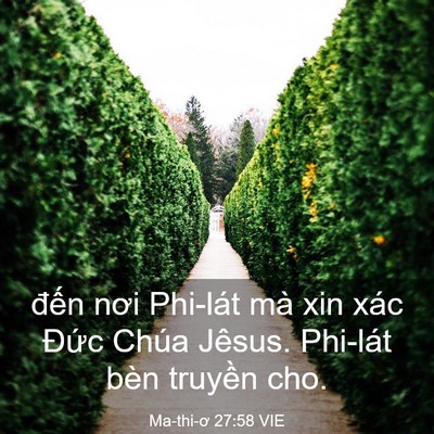 Picture 03 - Ma-thi-ơ 27:58 VIE - đến nơi Phi-lát mà xin xác Đức Chúa - Bible Verse Picture