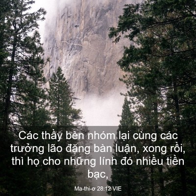 Picture 03 - Ma-thi-ơ 28:12 VIE - Các thầy bèn nhóm lại cùng các trưởng - Bible Verse Picture