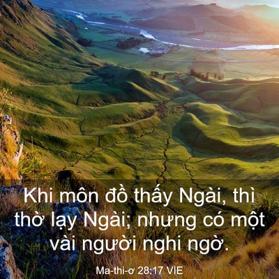 Picture 03 - Ma-thi-ơ 28:17 VIE - Khi môn đồ thấy Ngài, thì thờ lạy - Bible Verse Picture