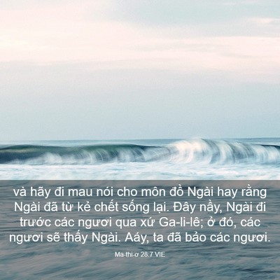 Picture 03 - Ma-thi-ơ 28:7 VIE - và hãy đi mau nói cho môn đồ Ngài hay - Bible Verse Picture