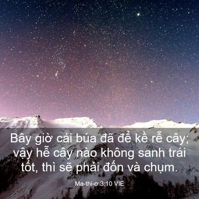 Picture 03 - Ma-thi-ơ 3:10 VIE - Bây giờ cái búa đã để kề rễ cây; - Bible Verse Picture