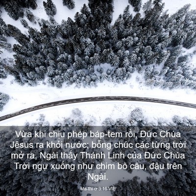 Picture 03 - Ma-thi-ơ 3:16 VIE - Vừa khi chịu phép báp-tem rồi, Đức - Bible Verse Picture