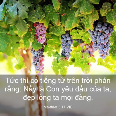 Picture 03 - Ma-thi-ơ 3:17 VIE - Tức thì có tiếng từ trên trời phán - Bible Verse Picture