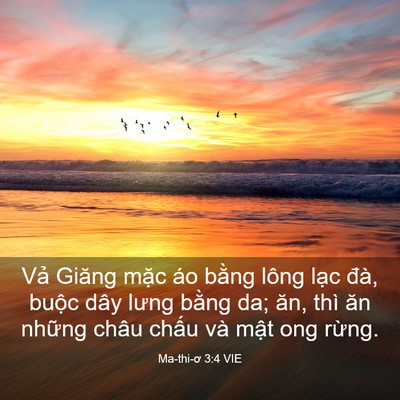 Picture 03 - Ma-thi-ơ 3:4 VIE - Vả Giăng mặc áo bằng lông lạc đà, - Bible Verse Picture