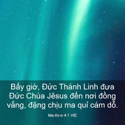 Picture 03 - Ma-thi-ơ 4:1 VIE - Bấy giờ, Đức Thánh Linh đưa Đức - Bible Verse Picture