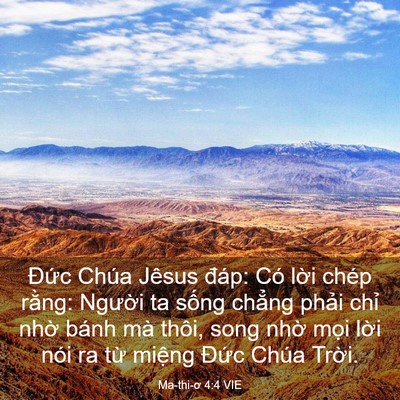 Picture 03 - Ma-thi-ơ 4:4 VIE - Đức Chúa Jêsus đáp: Có lời chép - Bible Verse Picture