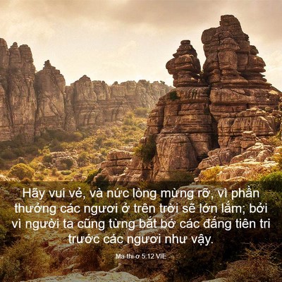 Picture 03 - Ma-thi-ơ 5:12 VIE - Hãy vui vẻ, và nức lòng mừng rỡ, vì - Bible Verse Picture