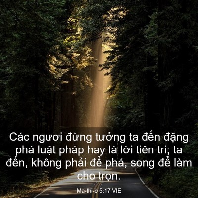 Picture 03 - Ma-thi-ơ 5:17 VIE - Các ngươi đừng tưởng ta đến đặng - Bible Verse Picture