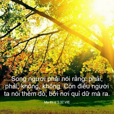 Picture 03 - Ma-thi-ơ 5:37 VIE - Song ngươi phải nói rằng: phải, phải; - Bible Verse Picture