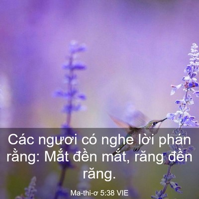 Picture 03 - Ma-thi-ơ 5:38 VIE - Các ngươi có nghe lời phán rằng: Mắt - Bible Verse Picture