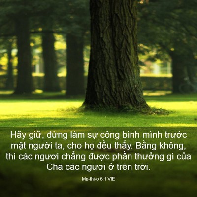 Picture 03 - Ma-thi-ơ 6:1 VIE - Hãy giữ, đừng làm sự công bình mình - Bible Verse Picture