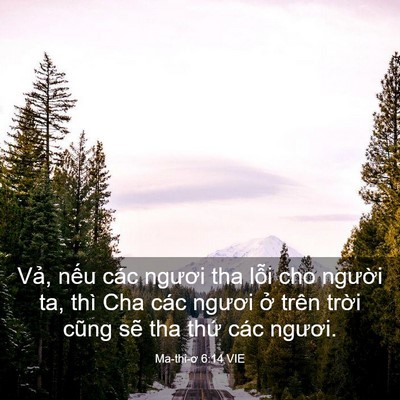 Picture 03 - Ma-thi-ơ 6:14 VIE - Vả, nếu các ngươi tha lỗi cho người - Bible Verse Picture