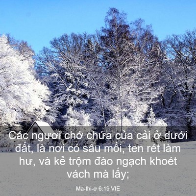 Picture 03 - Ma-thi-ơ 6:19 VIE - Các ngươi chớ chứa của cải ở dưới - Bible Verse Picture