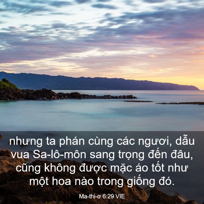 Picture 03 - Ma-thi-ơ 6:29 VIE - nhưng ta phán cùng các ngươi, dẫu vua - Bible Verse Picture