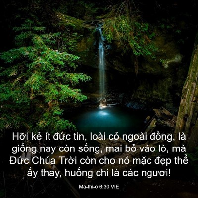 Picture 03 - Ma-thi-ơ 6:30 VIE - Hỡi kẻ ít đức tin, loài cỏ ngoài - Bible Verse Picture