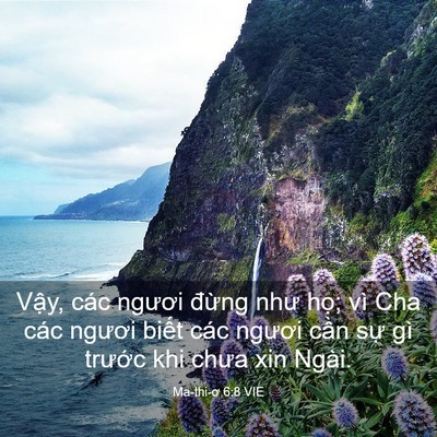 Picture 03 - Ma-thi-ơ 6:8 VIE - Vậy, các ngươi đừng như họ; vì Cha - Bible Verse Picture