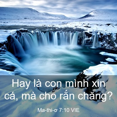 Picture 03 - Ma-thi-ơ 7:10 VIE - Hay là con mình xin cá, mà cho rắn - Bible Verse Picture