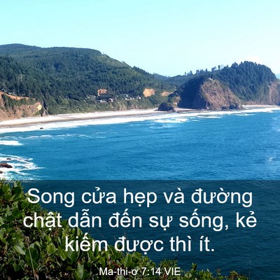 Picture 03 - Ma-thi-ơ 7:14 VIE - Song cửa hẹp và đường chật dẫn - Bible Verse Picture