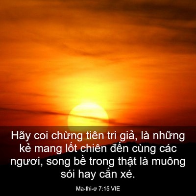 Picture 03 - Ma-thi-ơ 7:15 VIE - Hãy coi chừng tiên tri giả, là những - Bible Verse Picture