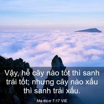 Picture 03 - Ma-thi-ơ 7:17 VIE - Vậy, hễ cây nào tốt thì sanh trái - Bible Verse Picture