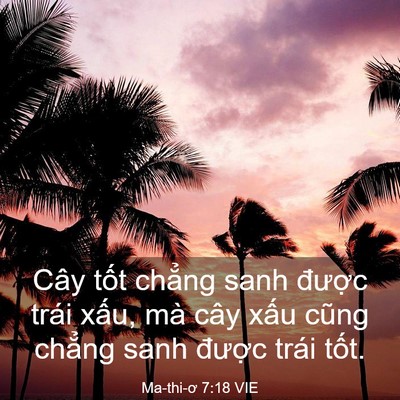 Picture 03 - Ma-thi-ơ 7:18 VIE - Cây tốt chẳng sanh được trái xấu, mà - Bible Verse Picture