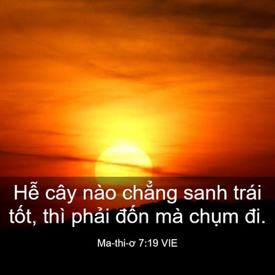Picture 03 - Ma-thi-ơ 7:19 VIE - Hễ cây nào chẳng sanh trái tốt, thì - Bible Verse Picture