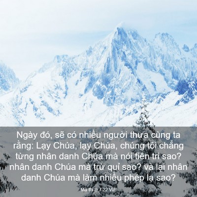 Picture 03 - Ma-thi-ơ 7:22 VIE - Ngày đó, sẽ có nhiều người thưa cùng - Bible Verse Picture