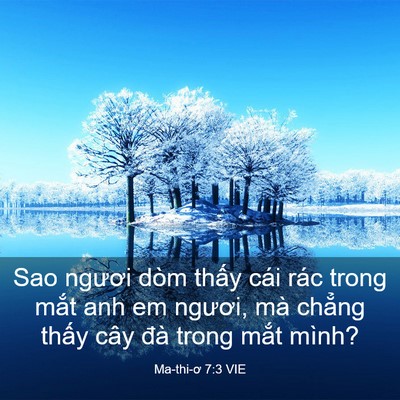 Picture 03 - Ma-thi-ơ 7:3 VIE - Sao ngươi dòm thấy cái rác trong mắt anh - Bible Verse Picture