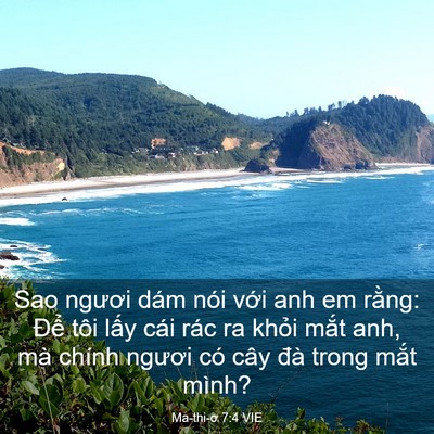 Picture 03 - Ma-thi-ơ 7:4 VIE - Sao ngươi dám nói với anh em rằng: Để - Bible Verse Picture