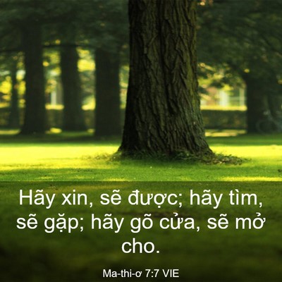 Picture 03 - Ma-thi-ơ 7:7 VIE - Hãy xin, sẽ được; hãy tìm, sẽ gặp; - Bible Verse Picture