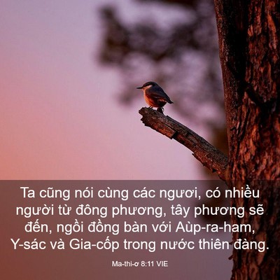 Picture 03 - Ma-thi-ơ 8:11 VIE - Ta cũng nói cùng các ngươi, có nhiều - Bible Verse Picture