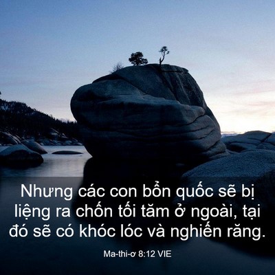 Picture 03 - Ma-thi-ơ 8:12 VIE - Nhưng các con bổn quốc sẽ bị liệng ra - Bible Verse Picture