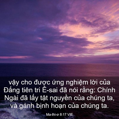Picture 03 - Ma-thi-ơ 8:17 VIE - vậy cho được ứng nghiệm lời của - Bible Verse Picture