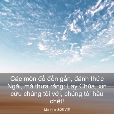Picture 03 - Ma-thi-ơ 8:25 VIE - Các môn đồ đến gần, đánh thức - Bible Verse Picture