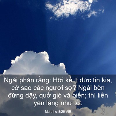 Picture 03 - Ma-thi-ơ 8:26 VIE - Ngài phán rằng: Hỡi kẻ ít đức tin - Bible Verse Picture