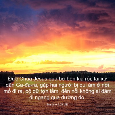 Picture 03 - Ma-thi-ơ 8:28 VIE - Đức Chúa Jêsus qua bờ bên kia rồi, - Bible Verse Picture