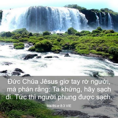 Picture 03 - Ma-thi-ơ 8:3 VIE - Đức Chúa Jêsus giơ tay rờ người, mà - Bible Verse Picture