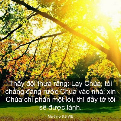 Picture 03 - Ma-thi-ơ 8:8 VIE - Thầy đội thưa rằng: Lạy Chúa, tôi - Bible Verse Picture