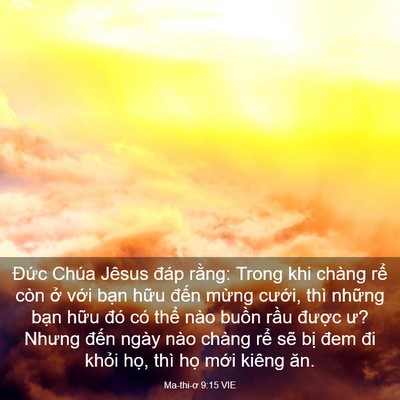 Picture 03 - Ma-thi-ơ 9:15 VIE - Đức Chúa Jêsus đáp rằng: Trong khi - Bible Verse Picture