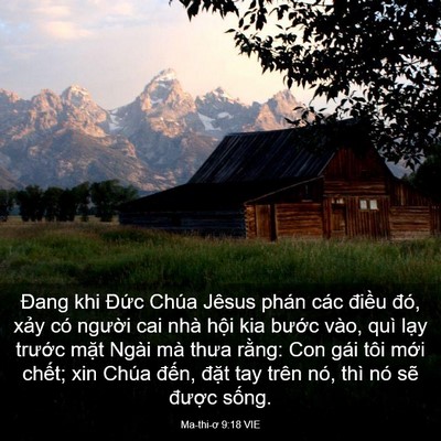 Picture 03 - Ma-thi-ơ 9:18 VIE - Đang khi Đức Chúa Jêsus phán các điều - Bible Verse Picture