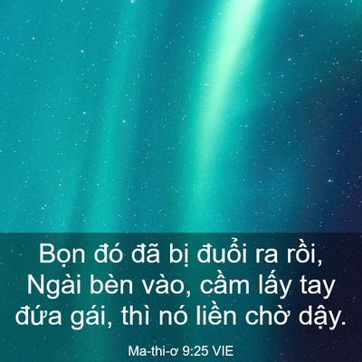 Picture 03 - Ma-thi-ơ 9:25 VIE - Bọn đó đã bị đuổi ra rồi, Ngài bèn - Bible Verse Picture