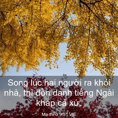Picture 03 - Ma-thi-ơ 9:31 VIE - Song lúc hai người ra khỏi nhà, thì - Bible Verse Picture