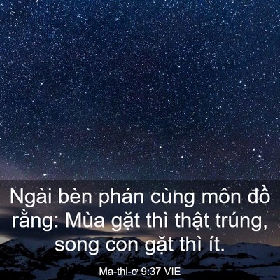 Picture 03 - Ma-thi-ơ 9:37 VIE - Ngài bèn phán cùng môn đồ rằng: Mùa - Bible Verse Picture